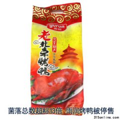 係13 ꝙͣ