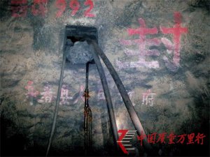 VymҎ(gu)t٬F(xin)ɫ