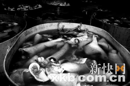 ■浸泡在化學溶液里的食材。 ■浸泡在化學溶液里的食材。