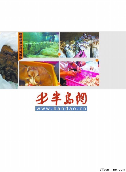 市場售嶗山菇多數造假個別商販用硫黃和漂白粉