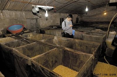昨日,房山食品辦、工商等多個執(zhí)法部門對漂白豆芽黑作坊進(jìn)行查處,現(xiàn)場發(fā)現(xiàn)多種添加物。本報記者 周崗峰 攝